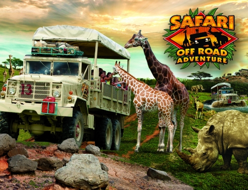 Safari Off-Road Adventure